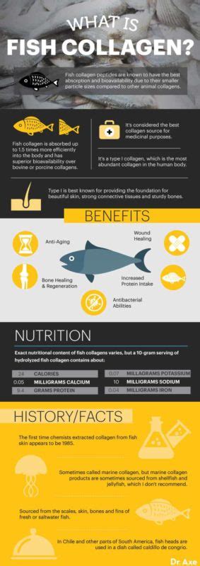 hydrolyzed fish collagen|Fish Collagen vs. Other Collagen Plus Uses, Benefits and  .